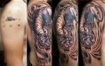 tattoo-video-garden-grove-cover-up-tiger-half-sleeve